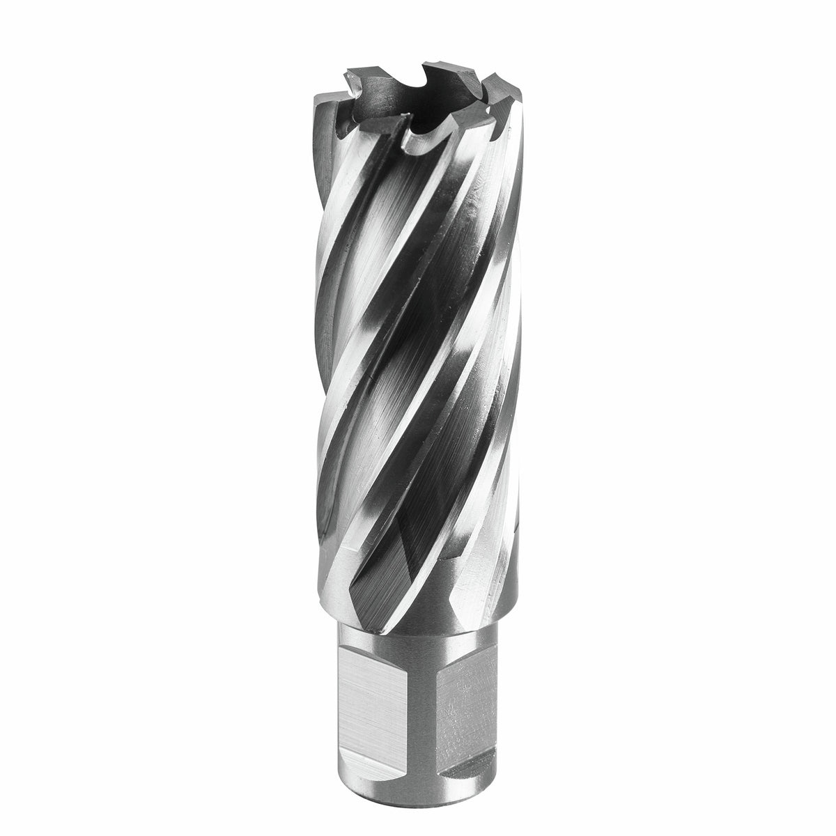 Full Boar Ø24 x 50mm Annular Cutter