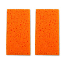 Bayer BWF2PK Main Wet Filter Suits BSC25L Vacuum - 2 Pack