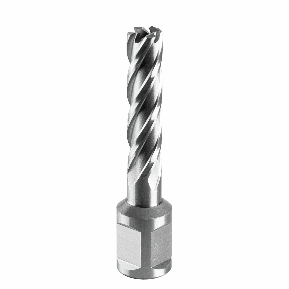 Full Boar Ø12 x 50mm Annular Cutter