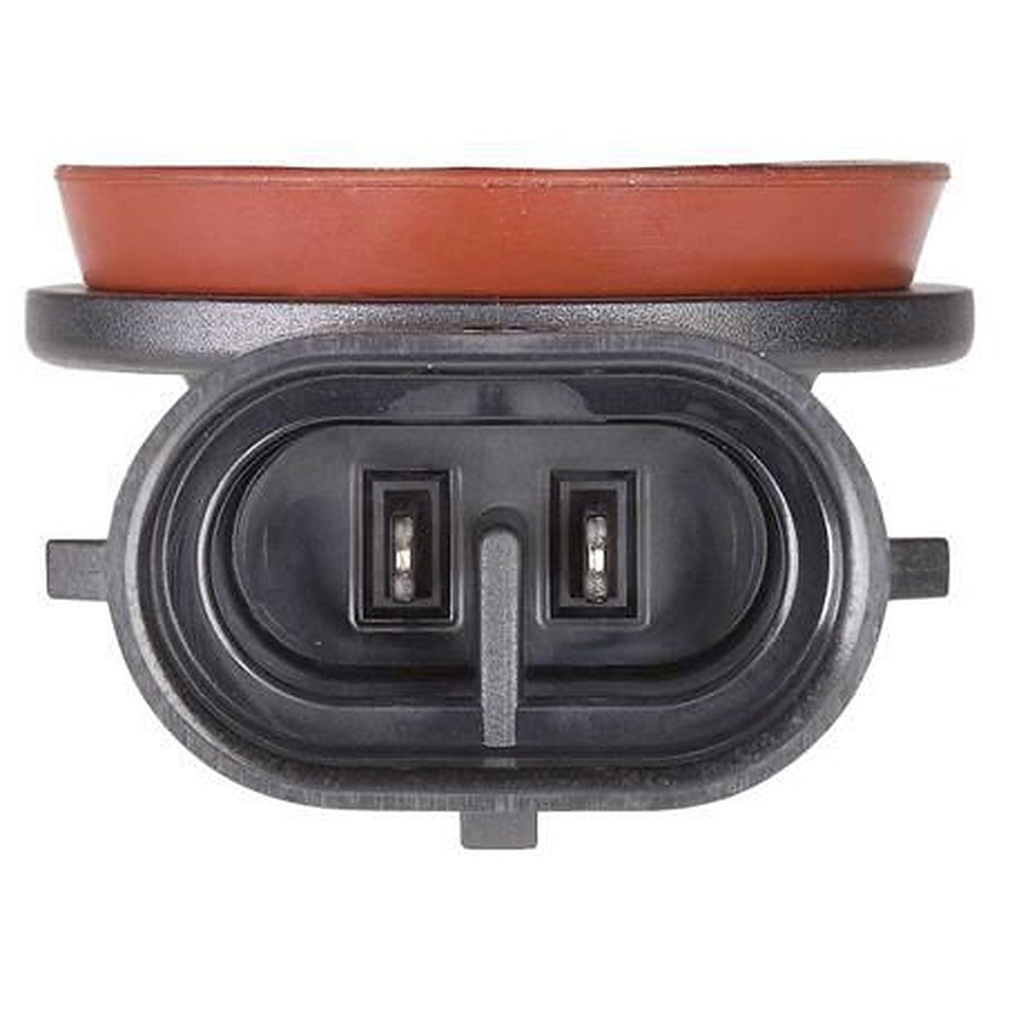 Narva H11 Globe PGJ19-2 12V 55W Box of 1 48078