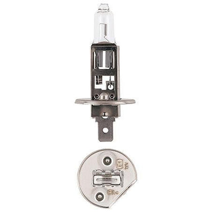 Narva H1 P14.5s Plus 30 Globe 12V 55W 48320