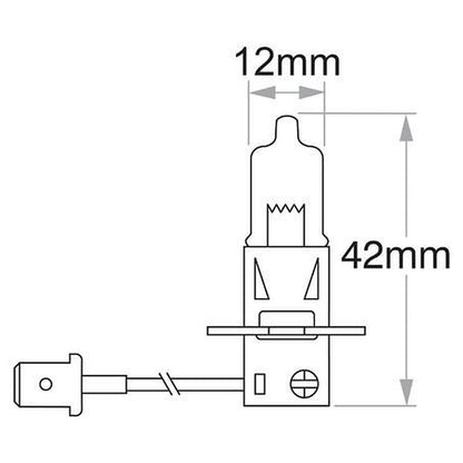 Narva H3 PK22s Intense Plus 30 Globe 12V 55W 48321
