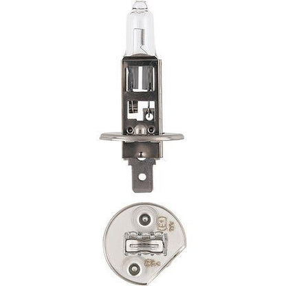 Narva H1 Globe P14.5S 24V 70W 48702BL