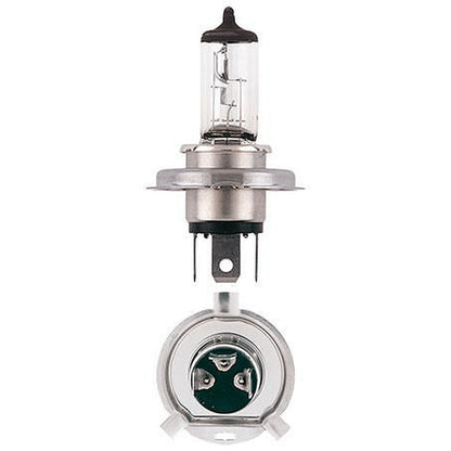 Narva H4 P43t-38 Globe 12V 60/55W 48881