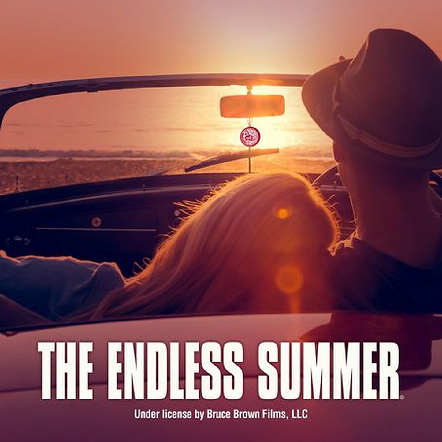 Endless Summer 3D Gel Car Air Freshener Strawberry Wax 8102895
