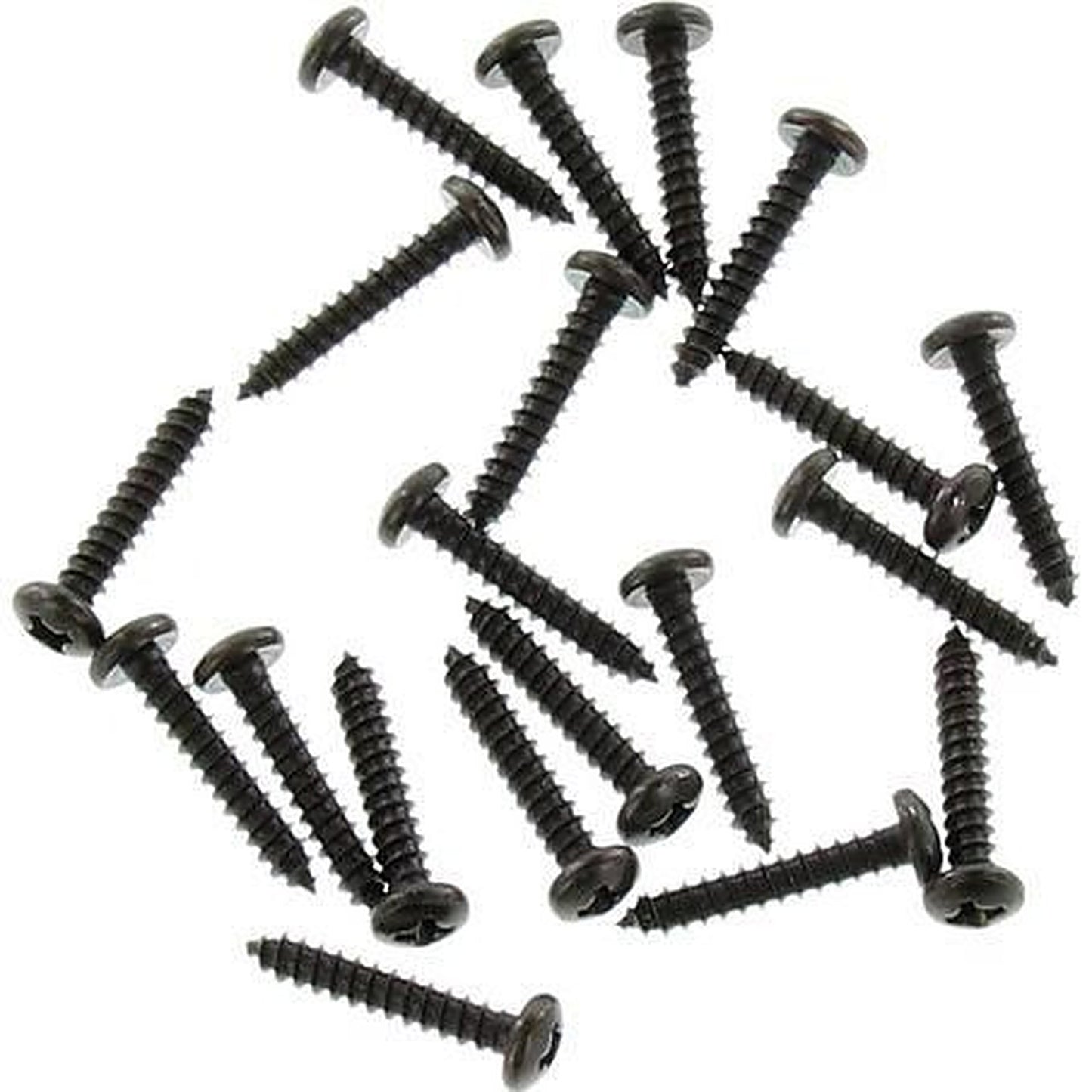 Champion Self Tapper Screw Pan Phillips 3.5 x 19mm Black BH732