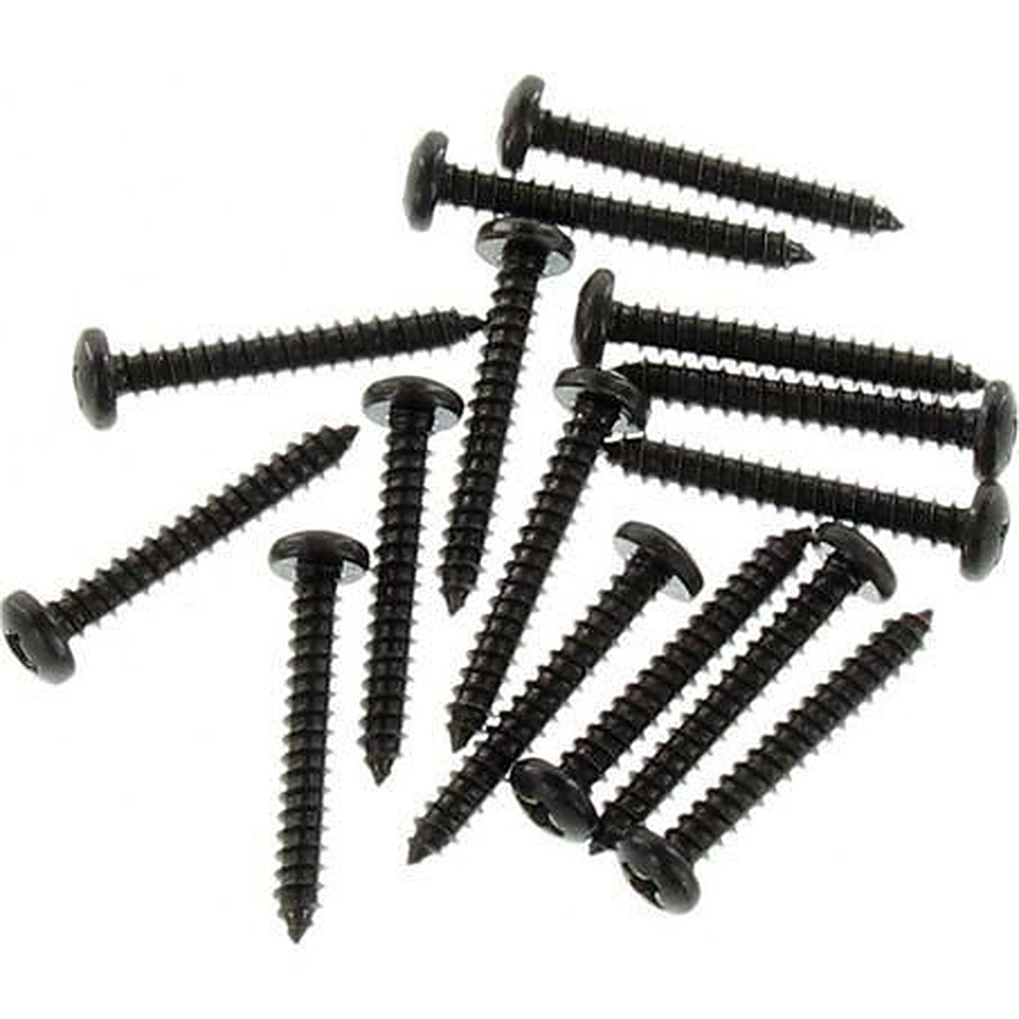 Champion Self Tapper Screw Pan Phillips 3.5 x 25mm Black BH733