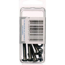 Champion Machine Screw & Nut Pan Phillips Stainless Steel 1/4inx1 1/4in 316/A4 CSP74