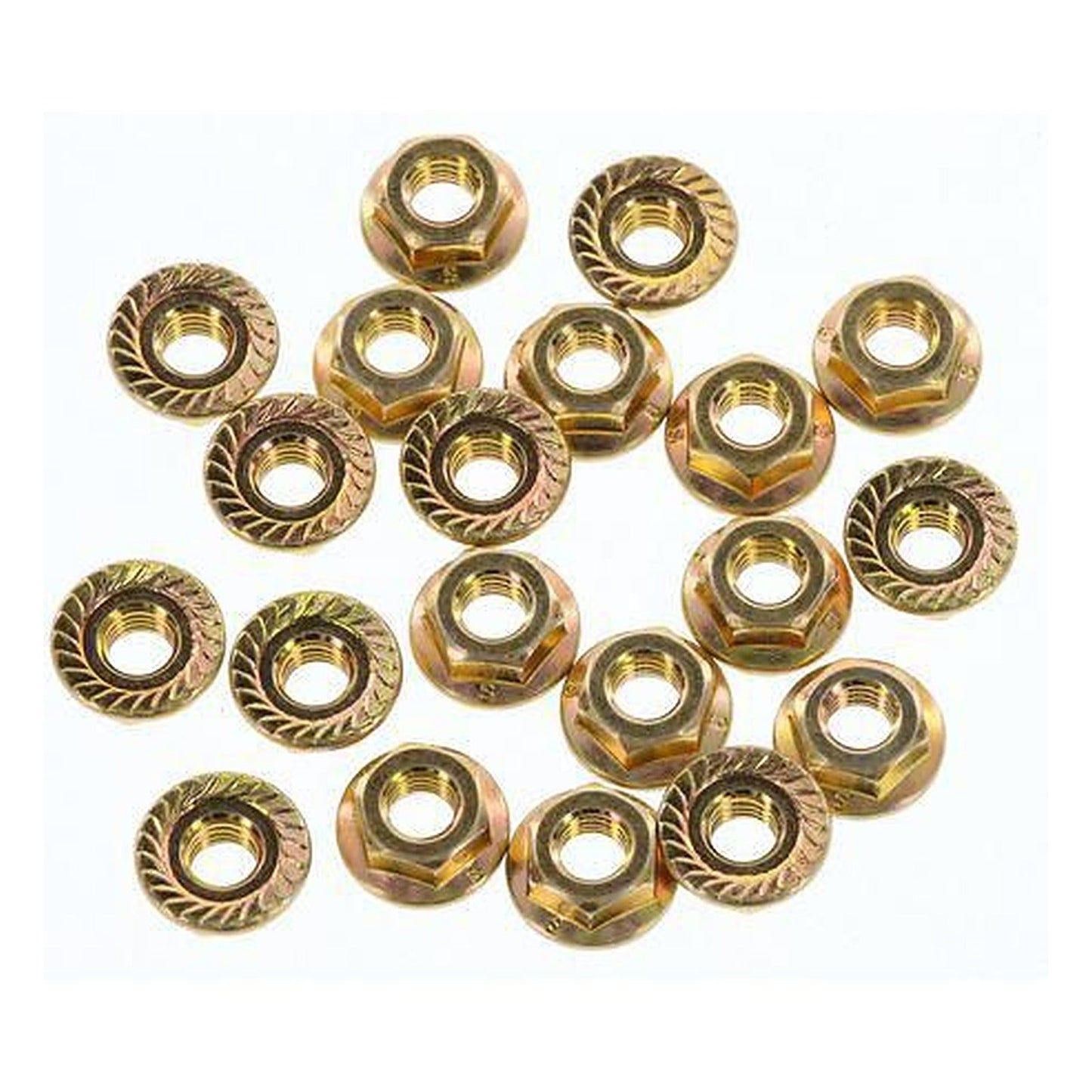 Champion Flanged Hex Nuts M6 x 1.00mm Grade 8.8 — Pack of 20