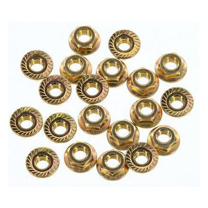 Champion Flanged Hex Nuts M6 x 1.00mm Grade 8.8 — Pack of 20