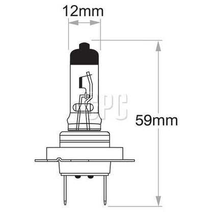 OEX H7 PX26d Globe 12V 55W Standard GLX16070
