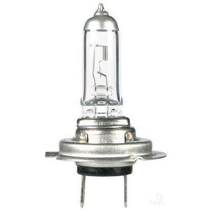 OEX H7 PX26d Long Life Globe 12V 55W GLX16075