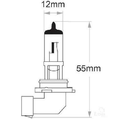 OEX HB4 P22d Globe 12V 51W Standard GLX16210