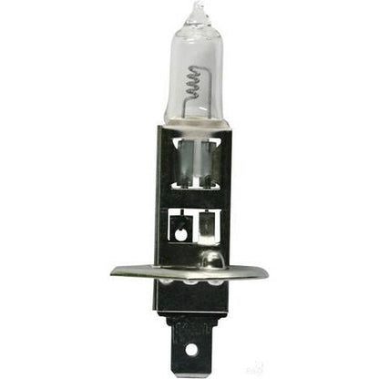 OEX H1 P14.5s Globe 12V 100W Standard GLX16350