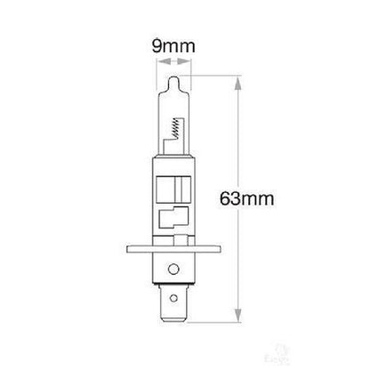OEX H1 P14.5s Globe 12V 55W Standard GLX16550