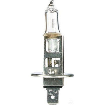 OEX H1 P14.5s Globe 12V 55W Standard GLX16550