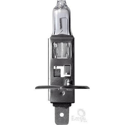 OEX H1 P14.5s Heavy Duty +50 Globe 12V 55W GLX16556