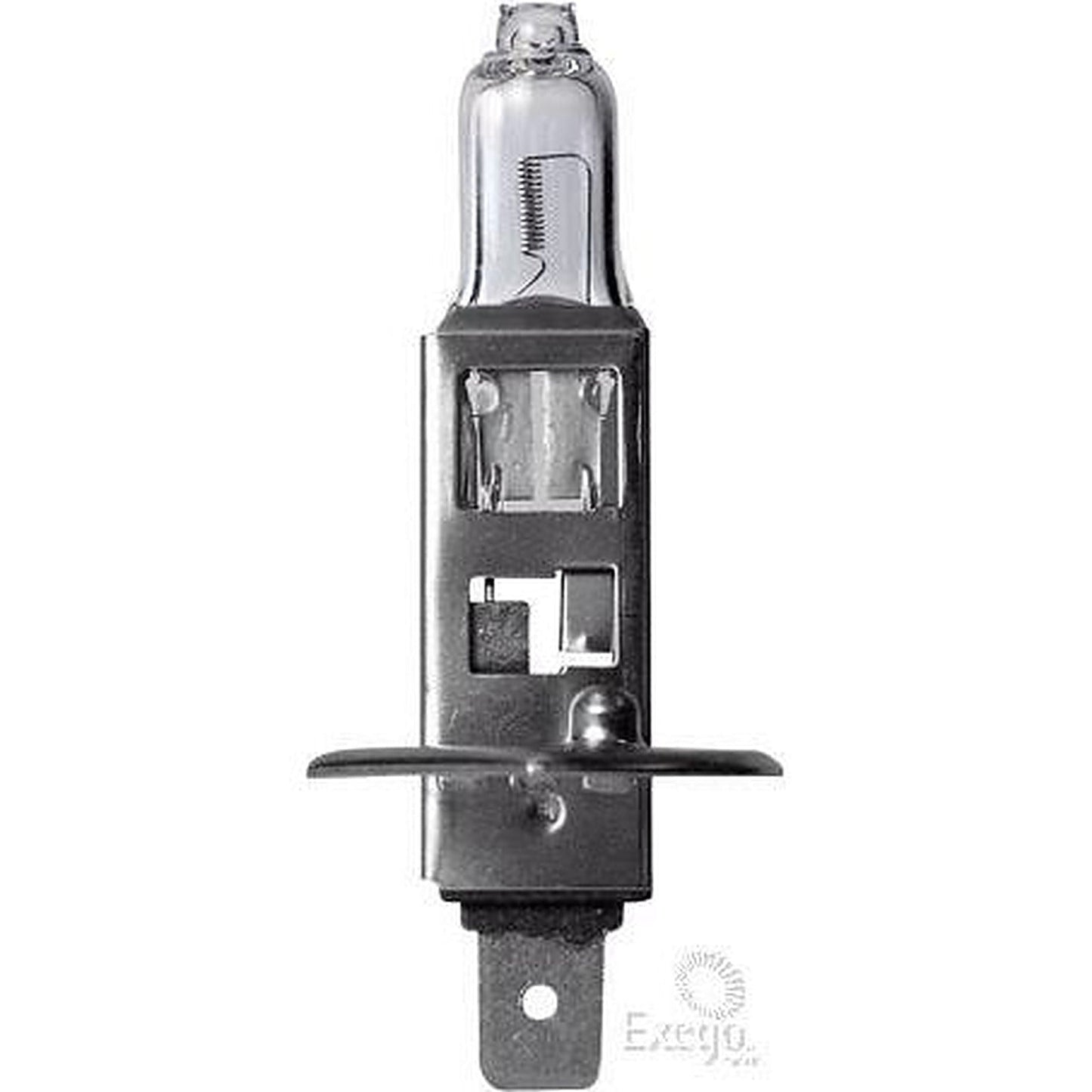 OEX H1 P14.5s Heavy Duty +50 Globe 24V 70W GLX16566