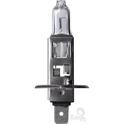 OEX H1 P14.5s Heavy Duty +50 Globe 24V 70W GLX16566