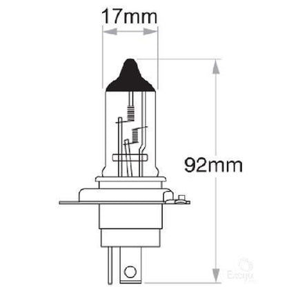 OEX H4 P43t-38 Globe 12V 60/55W Standard GLX16610