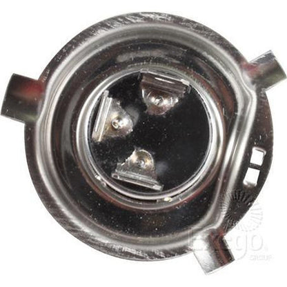 OEX H4 P43t-38 Globe 24V 75/70W Standard GLX16620