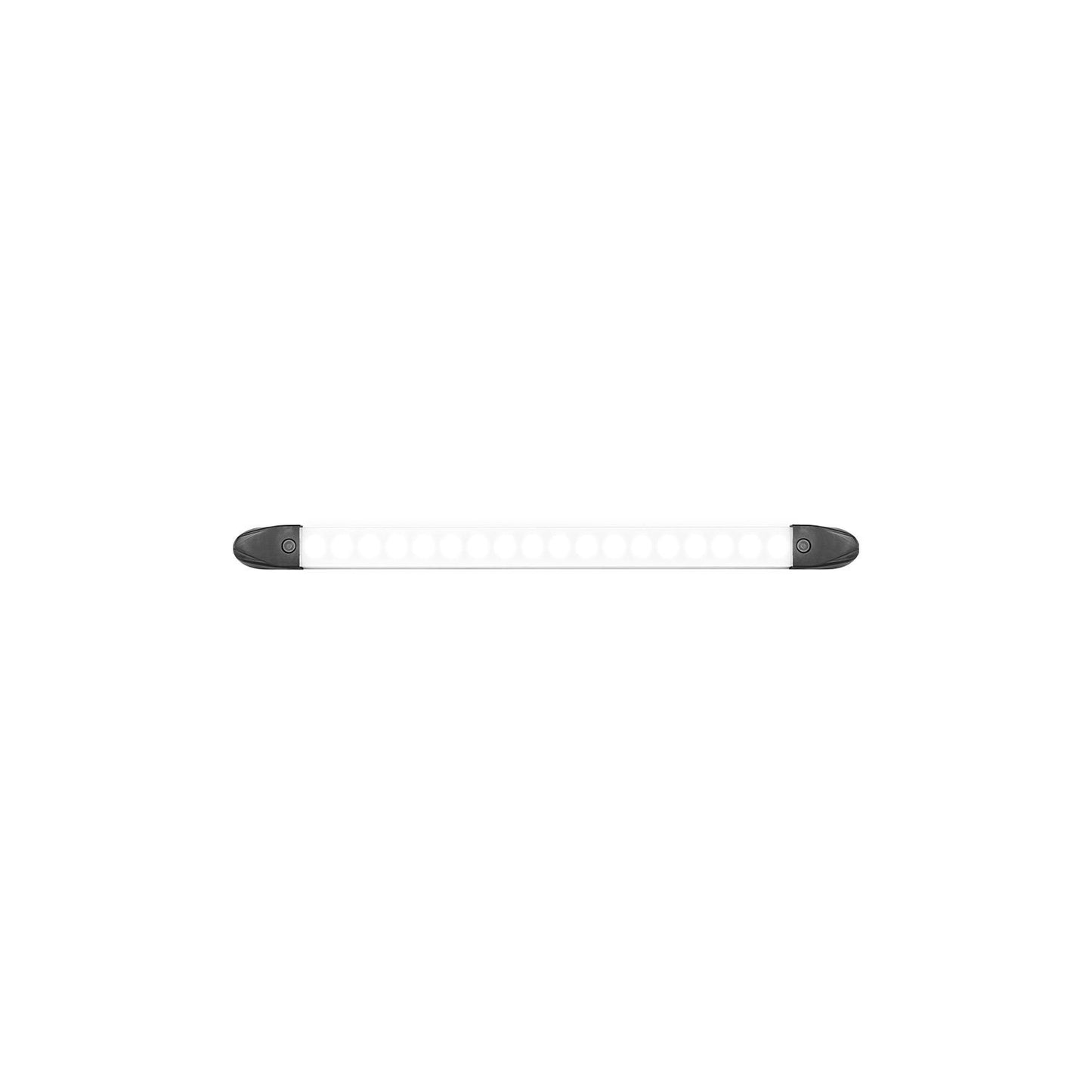 LED Autolamps Interior Light - 2430BMB