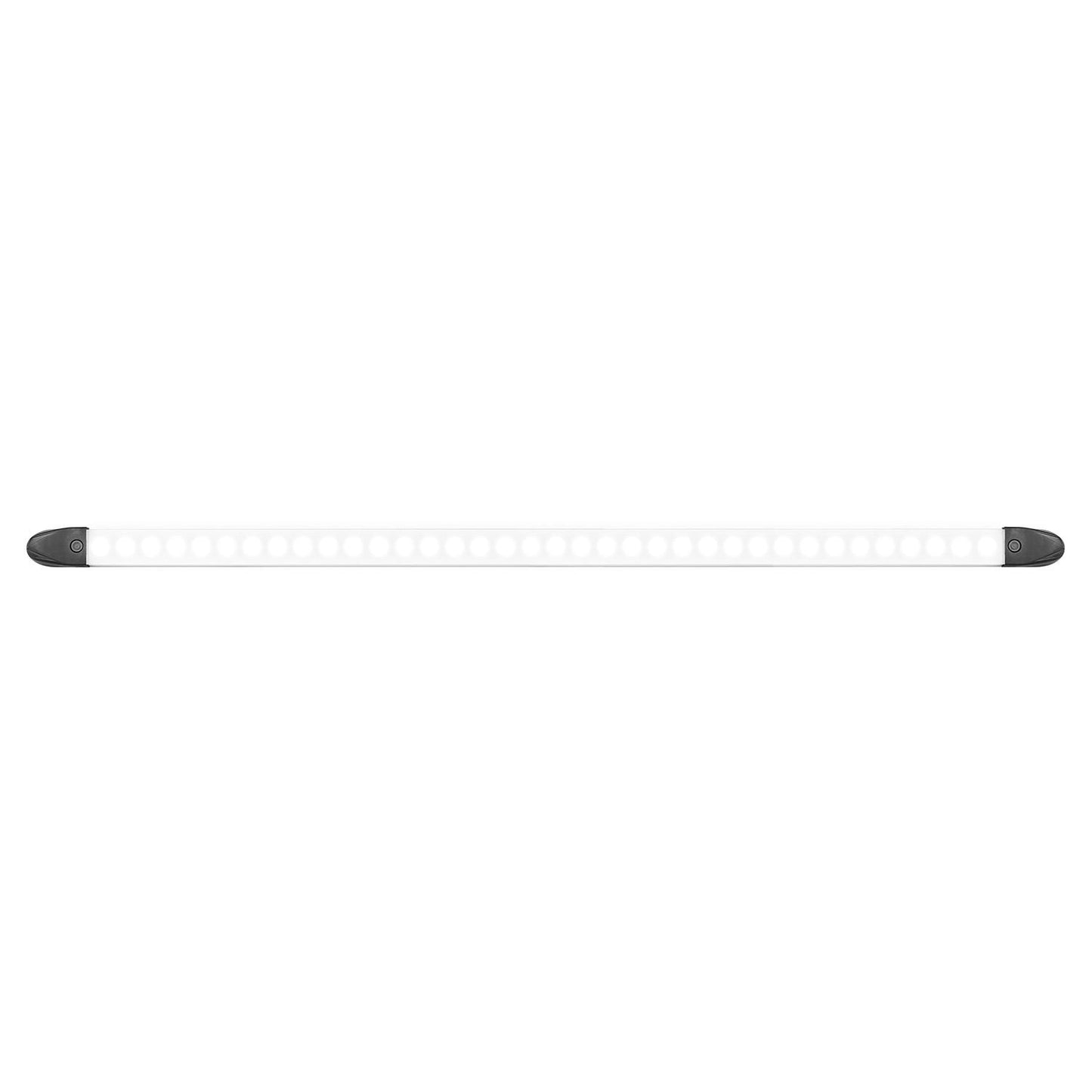 LED Autolamps Interior Light - 2460BMB