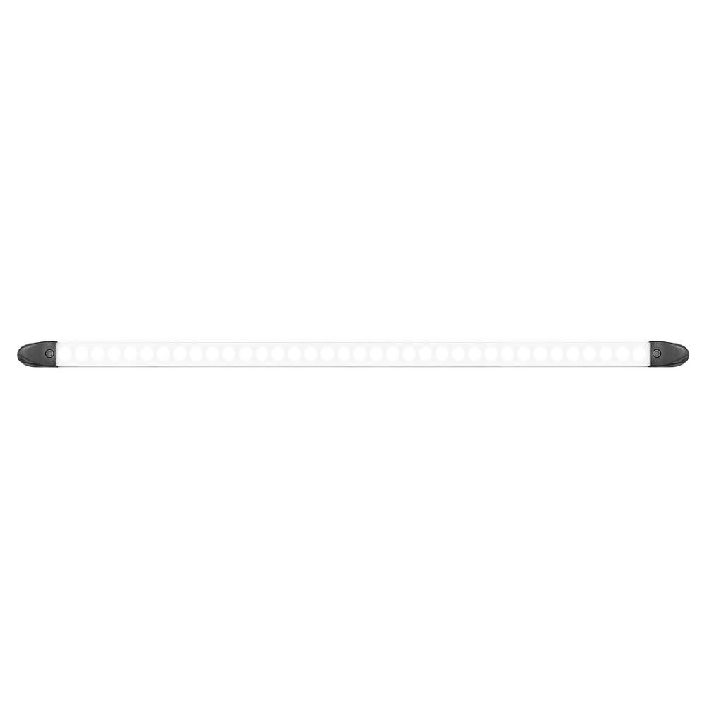 LED Autolamps Interior Light - 2460BMB-SW