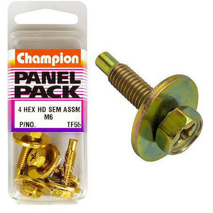 Champion Hex Set Screw Sems Hex Combo Drive Flat Washer Pilot M6 x 25mm TF55