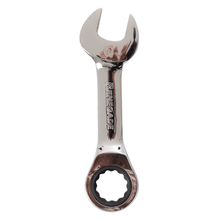 Renegade Industrial 19mm Metric Stubby Ratchet Spanner - RISR19