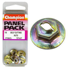 Champion Self Cut Nuts 1/8in TF47