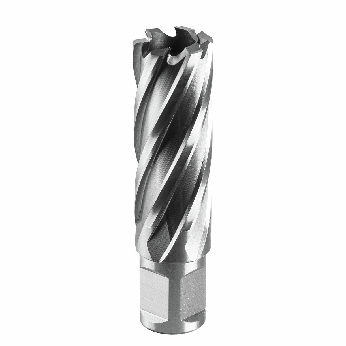 Full Boar Ø22 x 50mm Annular Cutter